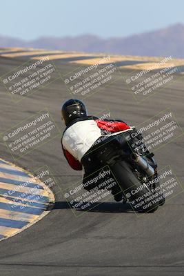 media/May-14-2022-SoCal Trackdays (Sat) [[7b6169074d]]/Turn 10 Backside (9am)/